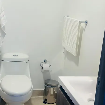 Cozy Brand New Apartment